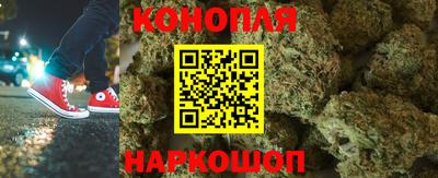 спайс Гагарин