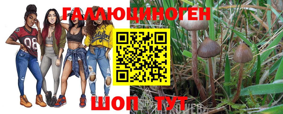 Псилоцибиновые грибы мухоморы Можга