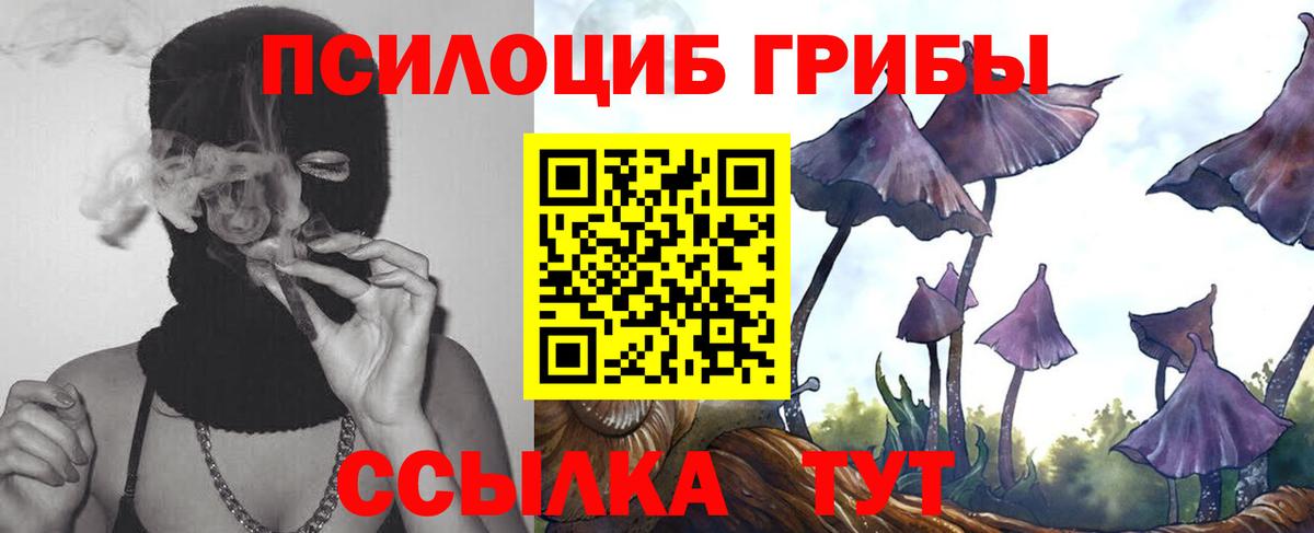Можга  Галлюциногенные грибы Psilocybine cubensis  Вход с VPN  Псилоцибиновые грибы ЛСД 